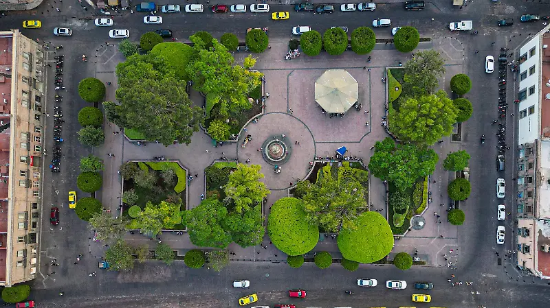 Cenital, Jardin Zenea_La Mirada, Gerardo Tavarez